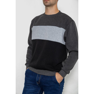 Батник чоловічий на флісі 244R2349