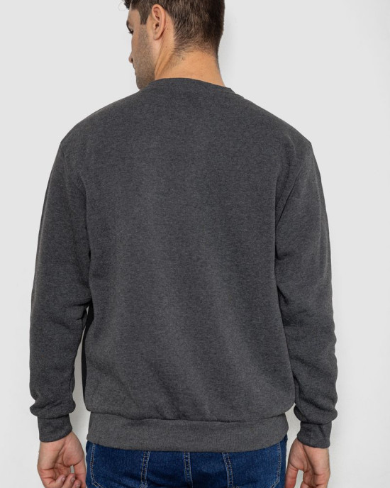 Батник чоловічий на флісі 244R2349